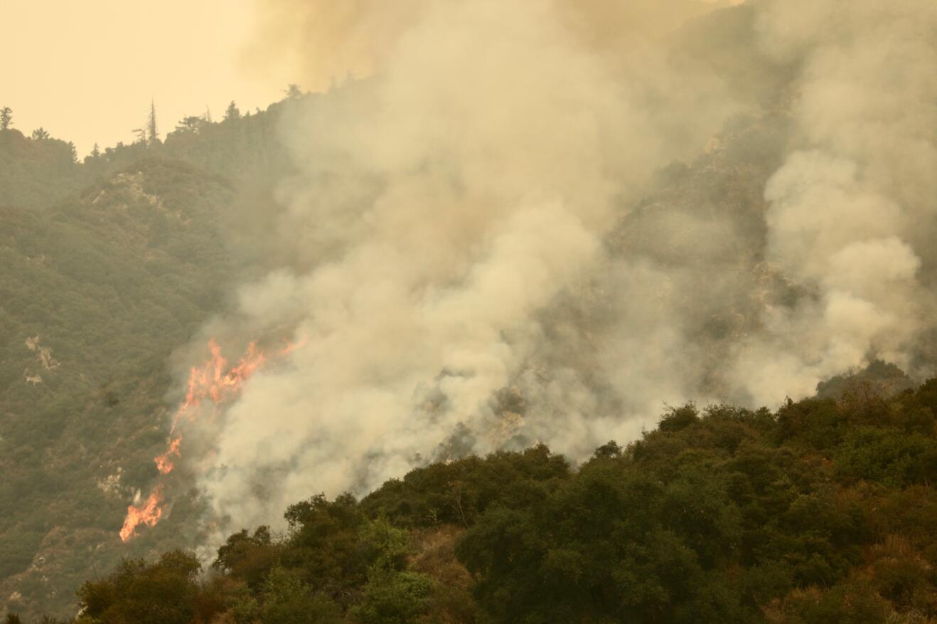 這是9月10日在美國洛杉磯縣蒙羅維亞拍攝的安傑利斯國家森林公園燃燒的山火。 在美國加州南部，火場遍佈洛杉磯、聖貝納迪諾和聖迭戈三個縣。洛杉磯東部丘陵地帶的居民已經接到準備撤離通知。 （新華社）