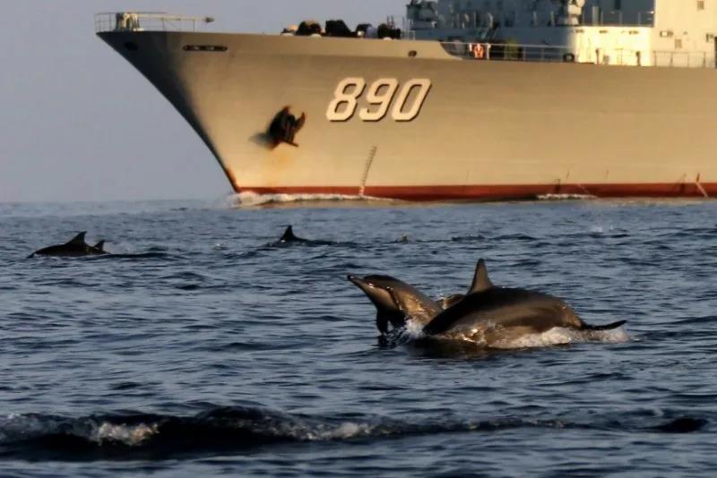 近日，數百頭海豚出現在海軍第35批護航編隊巢湖艦艦艏海面，並跟著軍艦跳躍追逐。（新華社）