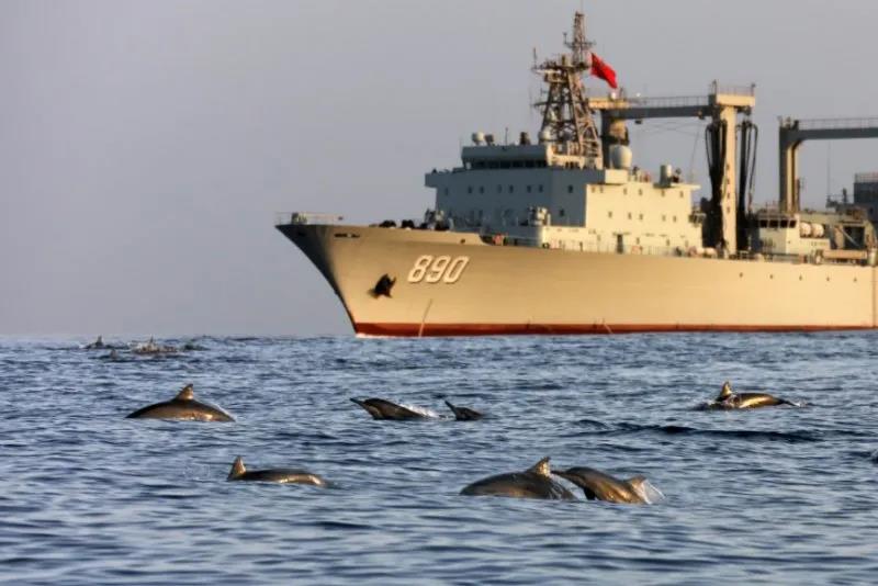 據了解，中國海軍赴亞丁灣索馬里海域護航編隊周圍，經常出現編隊艦艇航行時有成群海豚伴航、待機集結時有各類魚群相伴的和諧場景。（新華社）