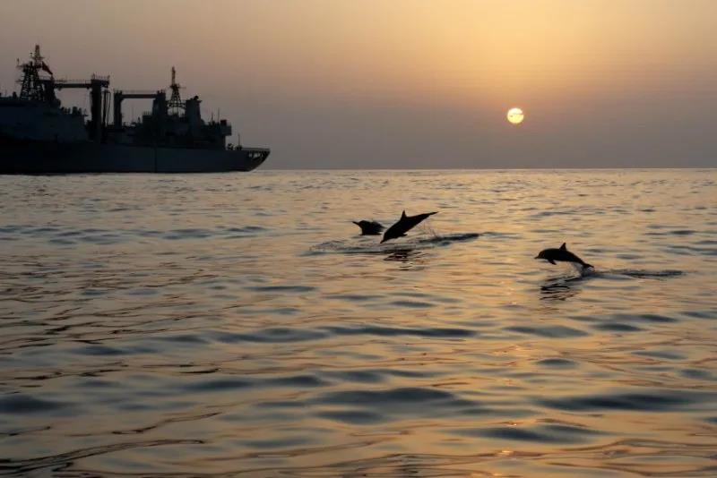 李小文講，這次這群在亞丁灣中部海域出現的海豚數量之多、規模之大、隨艦歡騰時間之長，他也是第一次見到。